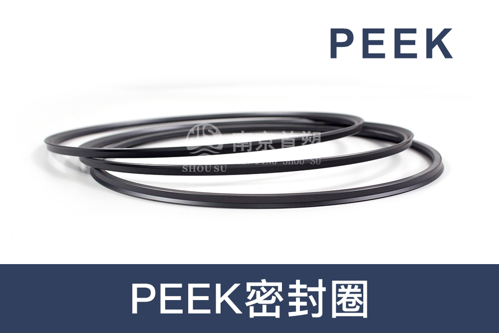 汽車機械行業用PEEK密封圈